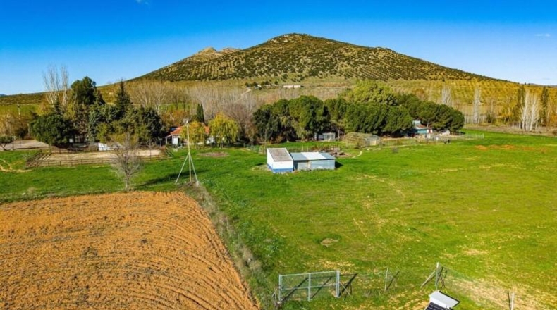 Ciudad Real - Malagón - 43000m2