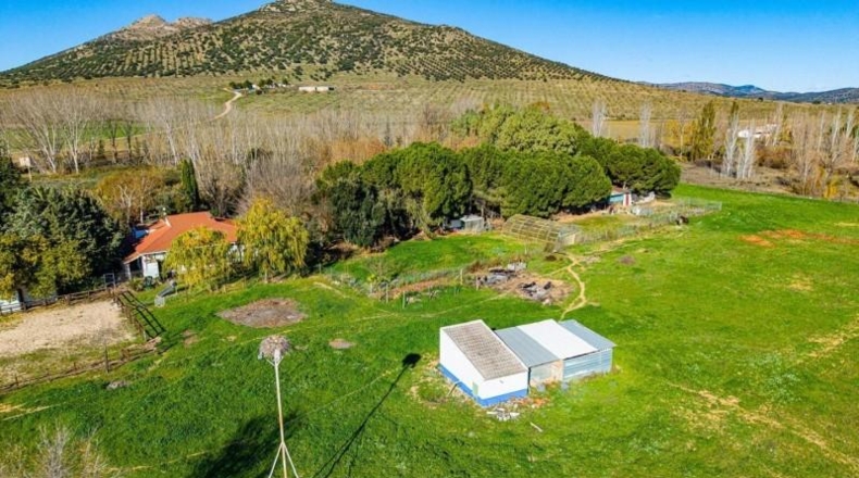 Ciudad Real - Malagón - 43000m2