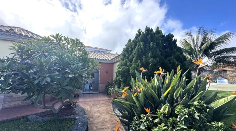 Santa Cruz de Tenerife - Icod de los Vinos - 341m2