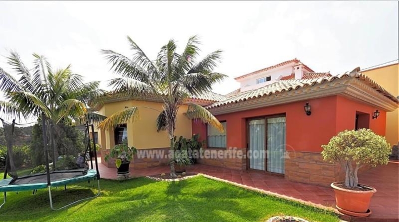 Santa Cruz de Tenerife - Icod de los Vinos - 341m2
