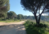 Terreno no urbanizable en venta en la España, Pelayos de la Presa, ref: TR242660 foto