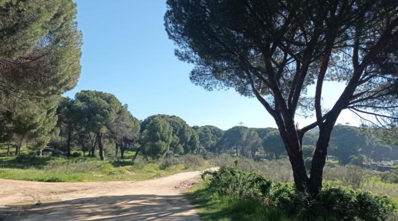 Community of Madrid - Pelayos de la Presa - 7800m2