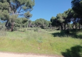 Terreno no urbanizable en venta en la España, Pelayos de la Presa, ref: TR242660 foto