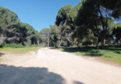 Terreno no urbanizable en venta en la España, Pelayos de la Presa, ref: TR242660 foto