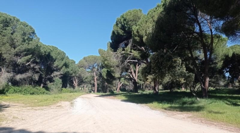Community of Madrid - Pelayos de la Presa - 7800m2