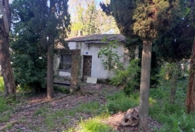 Foto 15