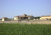 Xalet independent amb terreny en venda a la España, Montejo de Arévalo, ref.: TR249388 foto