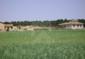 Xalet independent amb terreny en venda a la España, Montejo de Arévalo, ref.: TR249388 foto