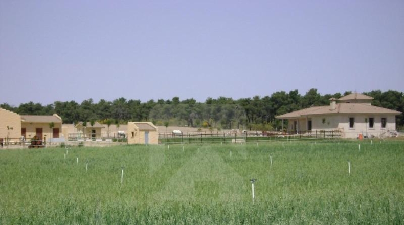 Avila - Arévalo - 68423m2
