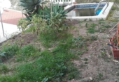 Detached villa with land for sale on España, Málaga, ref: TR141757 photo