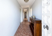 Casa de campo con terreno en venta en la España, Granada, ref: TR286393 foto