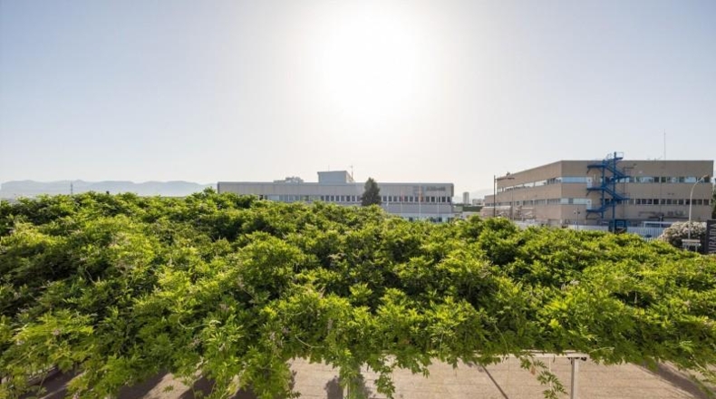 Granada - Гранада - 7500m2