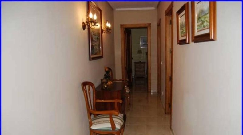 Murcia - Murcia - 600m2