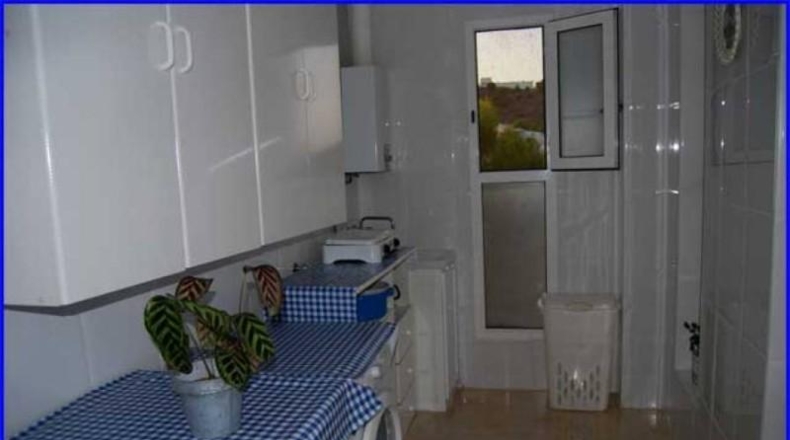 Murcia - Murcia - 600m2