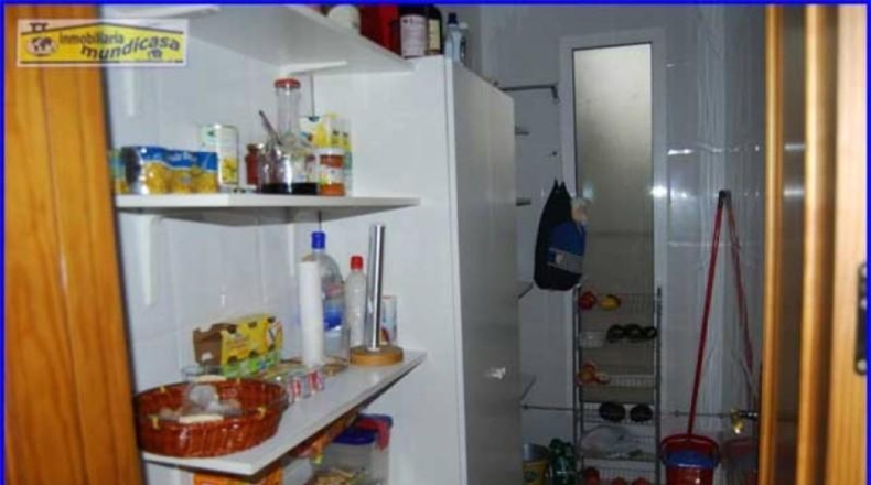 Murcia - Murcia - 600m2