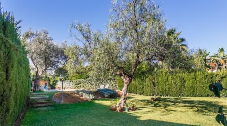 Sevilla - Gelves - 1000m2