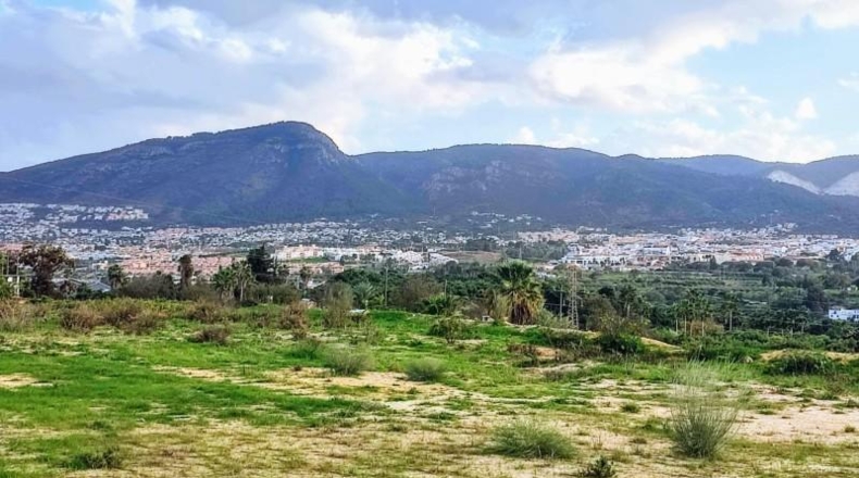 Málaga - Alhaurín de la Torre - 23460m2