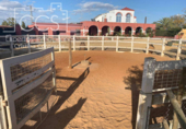 Отдельно стоящий дом с участком на продажу в городе Alcalá de Guadaíra Фото