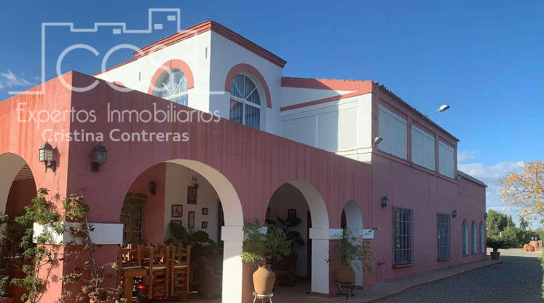 Sevilla - Alcalá de Guadaíra - 9050m2