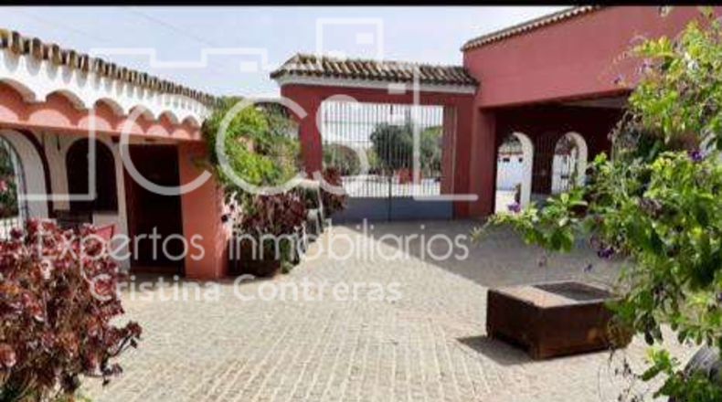 Sevilla - Alcalá de Guadaíra - 9050m2
