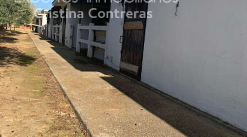 Sevilla - Alcalá de Guadaíra - 9050m2