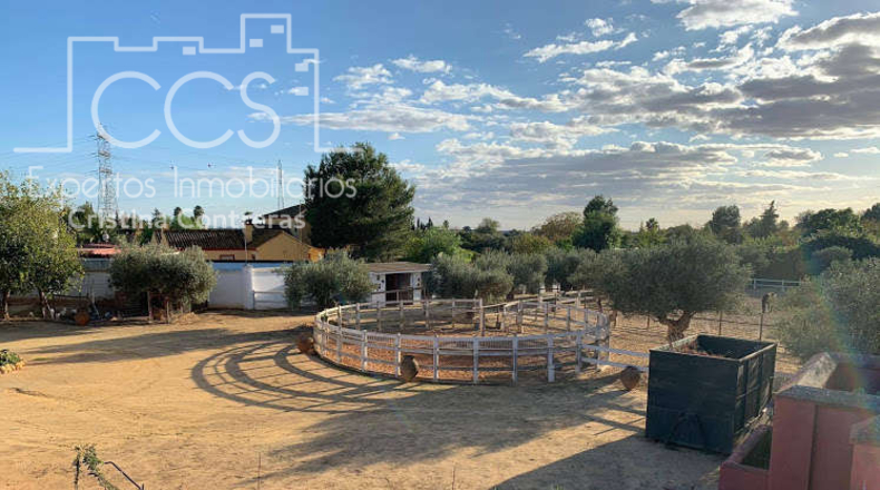 Sevilla - Alcalá de Guadaíra - 9050m2