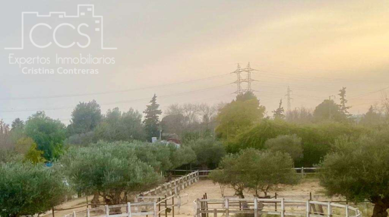 Sevilla - Alcalá de Guadaíra - 9050m2