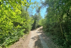 Foto 9
