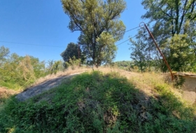 Foto 10
