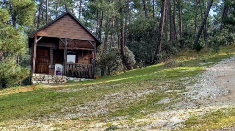Comunidad de Madrid - Cenicientos - 60000m2