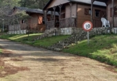 Chalet independiente con terreno en venta en la España, Cenicientos, ref: TR139534 foto
