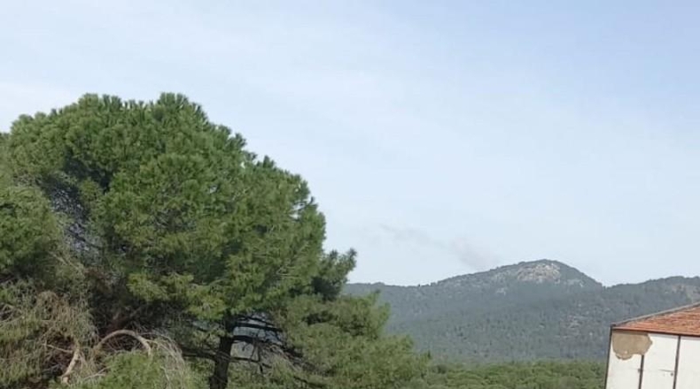 Comunidad de Madrid - Cenicientos - 60000m2