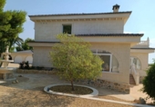 Detached villa with land for sale on España, Mutxamel, ref: TR139912 photo