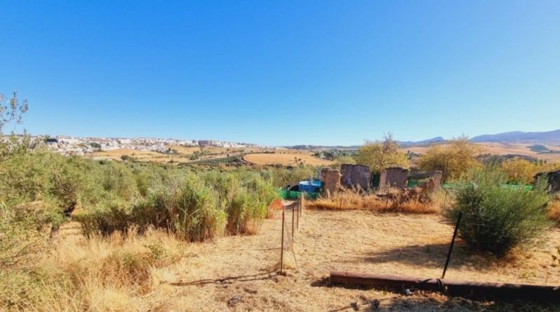 Málaga - Ronda - 84000m2