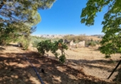 Xalet independent amb terreny en venda a la España, Ronda, ref.: TR139952 foto