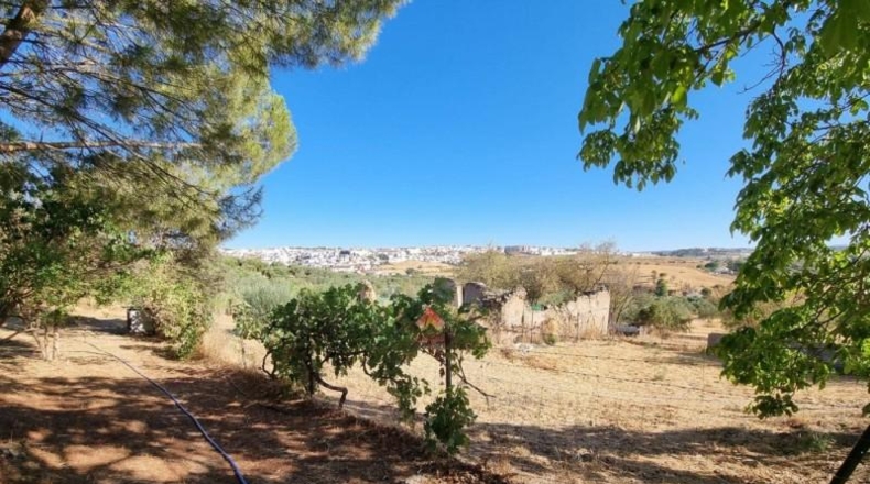 Málaga - Ronda - 84000m2