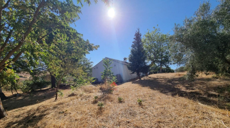 Málaga - Ronda - 84000m2