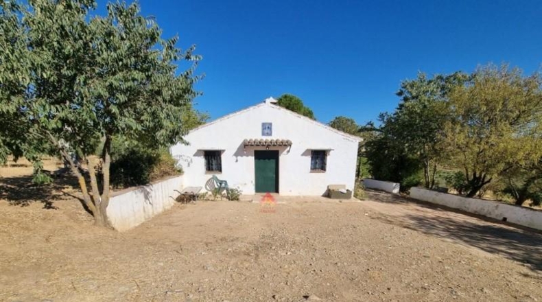 Málaga - Ronda - 84000m2