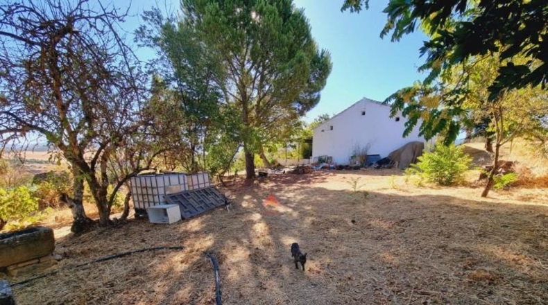 Málaga - Ronda - 84000m2