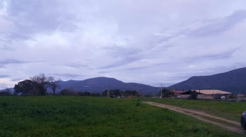 Cáceres - Oliva de Plasencia - 19000m2