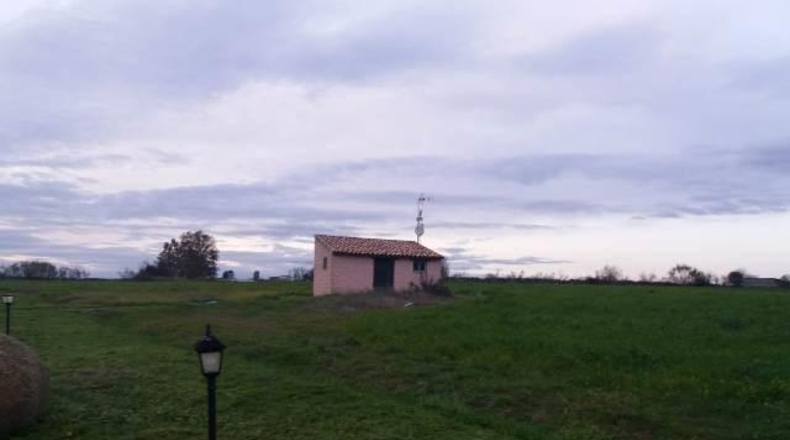 Cáceres - Oliva de Plasencia - 19000m2