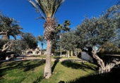 Chalet independiente con terreno en venta en la España, Elche, ref: TR385770 foto