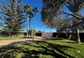 Chalet independiente con terreno en venta en la España, Elche, ref: TR385770 foto
