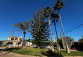 Chalet independiente con terreno en venta en la España, Elche, ref: TR385770 foto