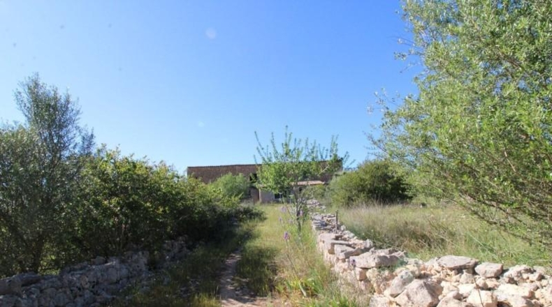Islas Baleares - Algaida - 314282m2