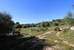 Foto 15