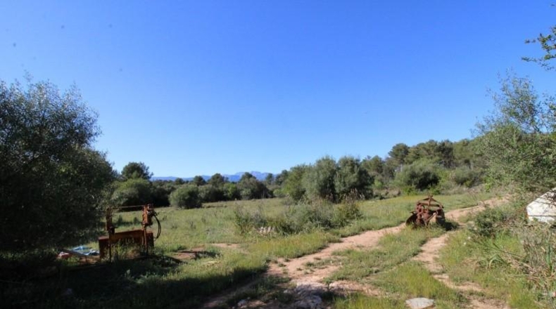 Islas Baleares - Algaida - 314282m2