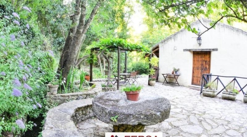 Cádiz - Grazalema - 15000m2