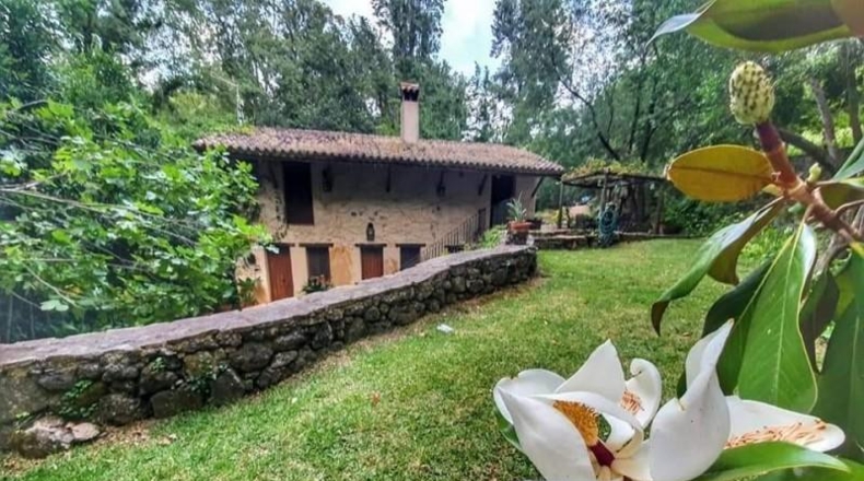 Cádiz - Grazalema - 15000m2
