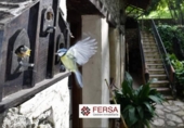 Xalet independent amb terreny en venda a la España, Grazalema, ref.: TR159180 foto